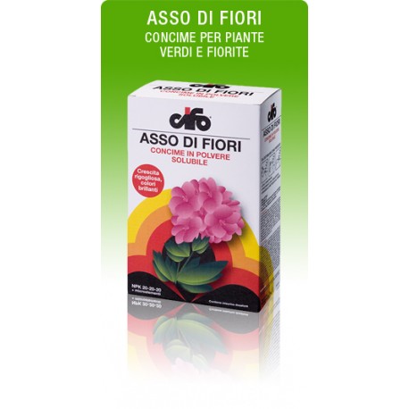 CIFO ASSO DI FIORI KG. 1.0