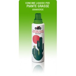 CIFO GRANVERDE PIANTE GRASSE 400 ML