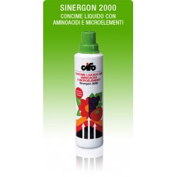 CIFO SINERGON 2000 585 G.