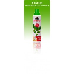 CIFO ALGATRON 585 G.