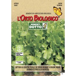 OB LATTUGA BIONDA A FOGLIA DI QUERCIA