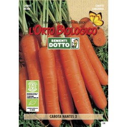 OB CAROTA NANTES 3